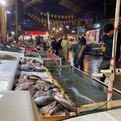 Musul Balık Pazarı, esnafın da desteğiyle eski günlerindeki canlılığına kavuşuyor