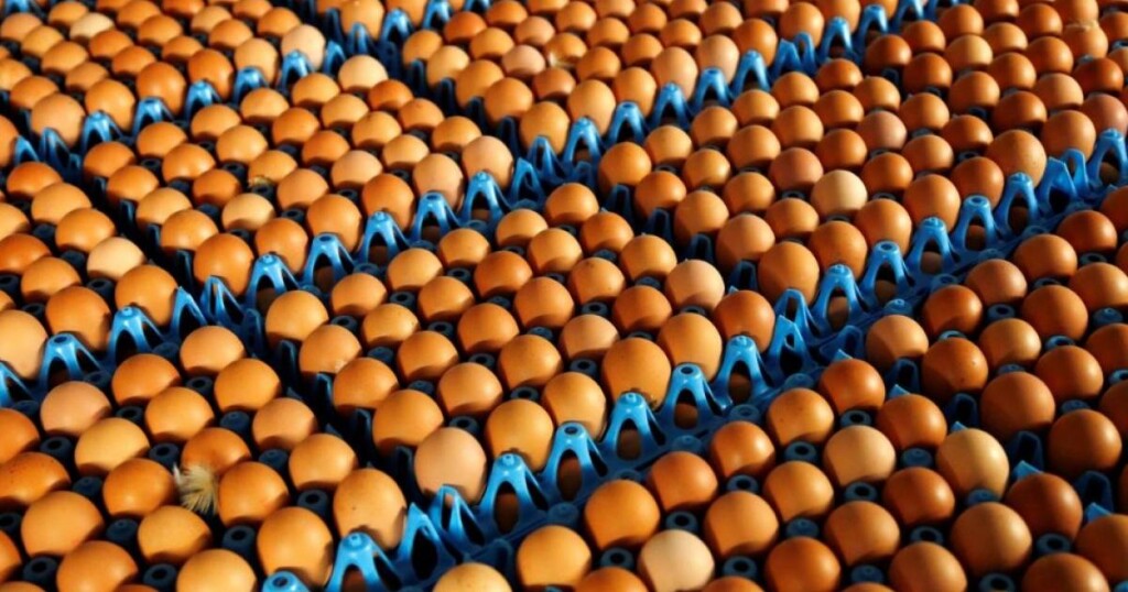 Irak hükümeti halka düşük fiyatla yumurta, un ve tavuk satacak