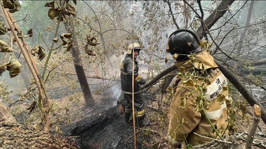 Kazakistan 60 bin hektarlık alanı aşan orman yangınıyla mücadele ediyor