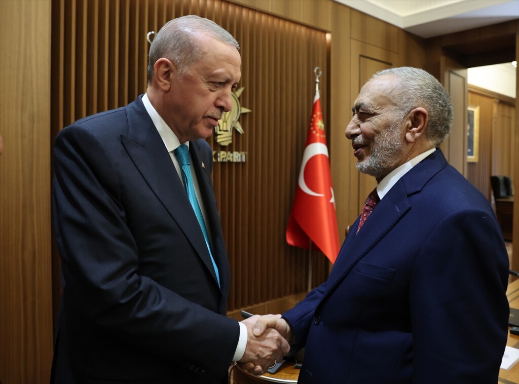 Cumhurbaşkanı Erdoğan, Irak Temsilciler Meclisi Başkanı Meşhedani'yi kabul etti